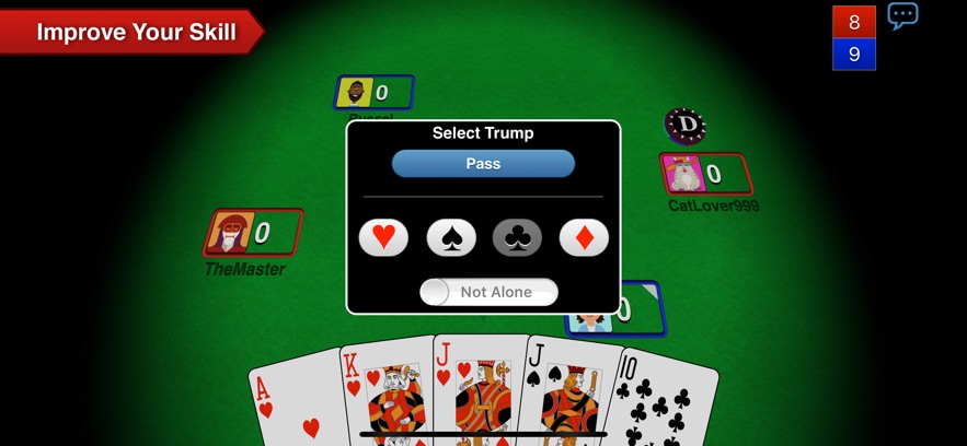 Euchre 3D