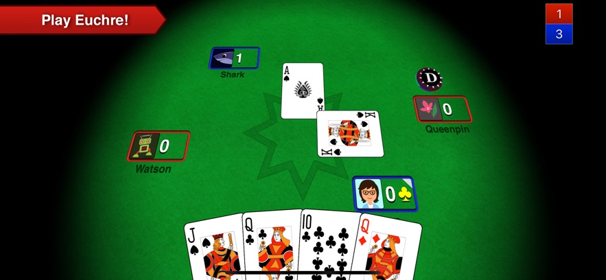 Euchre 3D